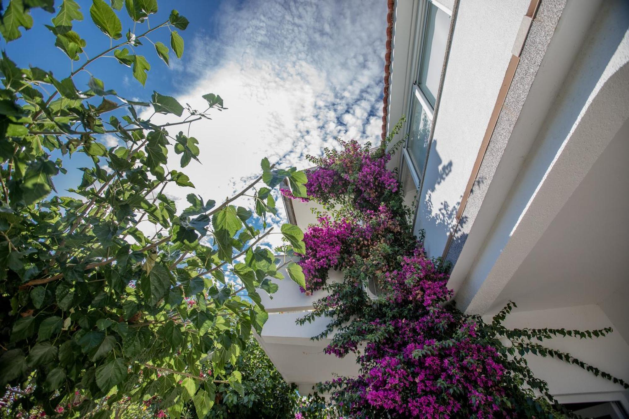 Apartman Rosa Supetarska Draga Buitenkant foto